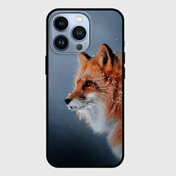 Чехол для iPhone 13 Pro Лиса, цвет: 3D-черный