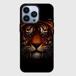 Чехол для iPhone 13 Pro TIGER, цвет: 3D-черный