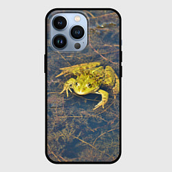 Чехол для iPhone 13 Pro Лягушка, цвет: 3D-черный