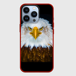 Чехол для iPhone 13 Pro Белоголовый орлан, цвет: 3D-красный