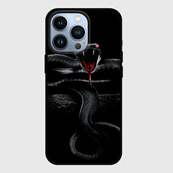 Чехол для iPhone 13 Pro ЗМЕЯ НА КАМНЕ НА ЧЕРНОМ ФОНЕ, цвет: 3D-черный