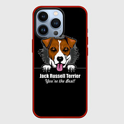 Чехол для iPhone 13 Pro Джек-Рассел-Терьер Jack Russell Terrier, цвет: 3D-красный