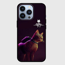 Чехол для iPhone 13 Pro Stray: Wandering Cat, цвет: 3D-черный