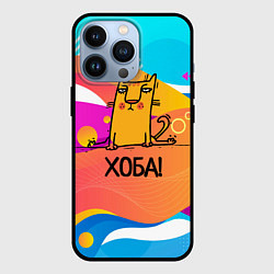 Чехол для iPhone 13 Pro Кот на шпагате, цвет: 3D-черный