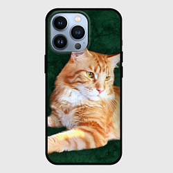 Чехол для iPhone 13 Pro Мейн кун рыжий кот, цвет: 3D-черный
