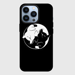 Чехол для iPhone 13 Pro Инь Янь - котики, цвет: 3D-черный