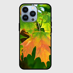 Чехол для iPhone 13 Pro Кленовый-лист, цвет: 3D-черный
