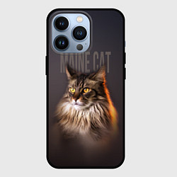 Чехол iPhone 13 Pro Maine cat