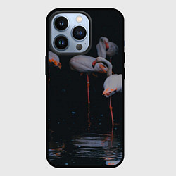 Чехол для iPhone 13 Pro Фламинго - вода, цвет: 3D-черный