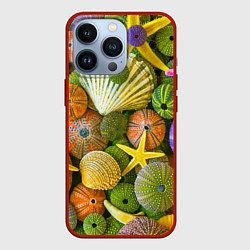 Чехол iPhone 13 Pro Композиция из морских звёзд и ракушек
