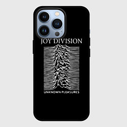 Чехол для iPhone 13 Pro Joy Division - unknown pleasures, цвет: 3D-черный