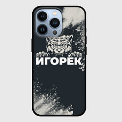 Чехол iPhone 13 Pro Игорёк зубастый волк