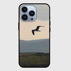 Чехол для iPhone 13 Pro Чайка, цвет: 3D-черный