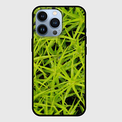 Чехол для iPhone 13 Pro Сфагнум, цвет: 3D-черный