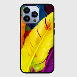 Чехол iPhone 13 Pro Разноцветные перья птиц