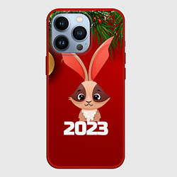 Чехол для iPhone 13 Pro Кролик 2023, цвет: 3D-красный