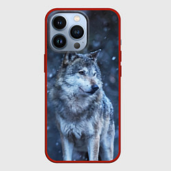 Чехол для iPhone 13 Pro Лесной волк, цвет: 3D-красный