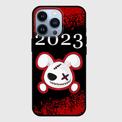 Чехол для iPhone 13 Pro Кролик 2023 злой, цвет: 3D-черный