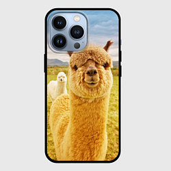 Чехол для iPhone 13 Pro Ламы - я и друг, найди меня, цвет: 3D-черный