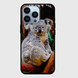 Чехол для iPhone 13 Pro Очень уставшая коала, цвет: 3D-черный