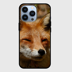 Чехол для iPhone 13 Pro Лис дремлет, цвет: 3D-черный