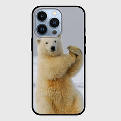 Чехол для iPhone 13 Pro Белый медведь разминается, цвет: 3D-черный