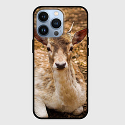 Чехол для iPhone 13 Pro Хороший олень, цвет: 3D-черный