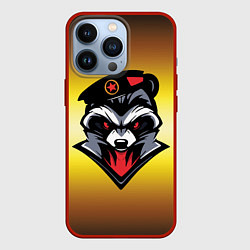 Чехол iPhone 13 Pro Енот Морпех на желтом фоне