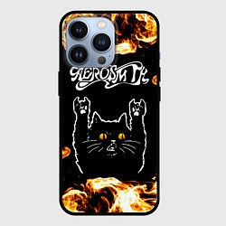 Чехол iPhone 13 Pro Aerosmith рок кот и огонь