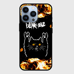 Чехол для iPhone 13 Pro Blink 182 рок кот и огонь, цвет: 3D-черный
