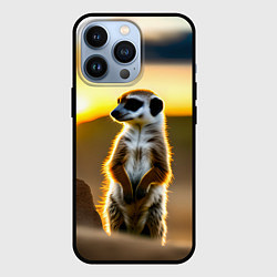 Чехол для iPhone 13 Pro Сурикат на фоне рассвета, цвет: 3D-черный