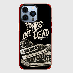 Чехол iPhone 13 Pro Punk Shoes