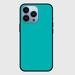 Чехол для iPhone 13 Pro Цвет морской волны однотонный, цвет: 3D-черный