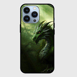 Чехол для iPhone 13 Pro Зеленый лесной дракон символ 2024 года, цвет: 3D-черный