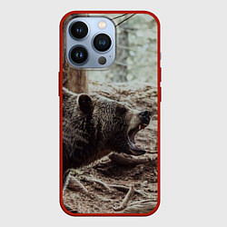 Чехол для iPhone 13 Pro Bear, цвет: 3D-красный