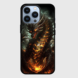 Чехол для iPhone 13 Pro Древний огненный дракон символ 2024, цвет: 3D-черный