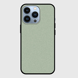 Чехол для iPhone 13 Pro Однотонный серо-зелёный текстура, цвет: 3D-черный
