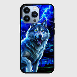 Чехол для iPhone 13 Pro Грозовой волк с молниями, цвет: 3D-черный