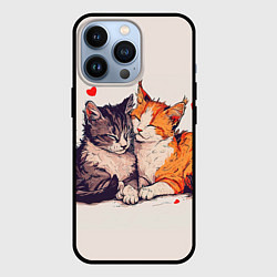 Чехол для iPhone 13 Pro Влюбленные коты 14 февраля, цвет: 3D-черный