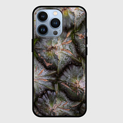 Чехол для iPhone 13 Pro Поверхность ананаса, цвет: 3D-черный