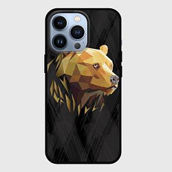 Чехол для iPhone 13 Pro Русский бурый медведь 2024, цвет: 3D-черный
