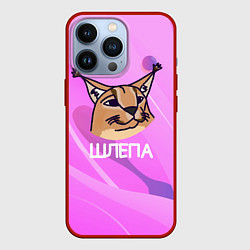 Чехол iPhone 13 Pro Нарисованный Шлепа