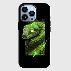Чехол для iPhone 13 Pro Двойная удача змеи, цвет: 3D-черный