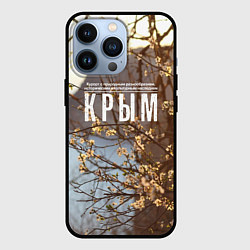 Чехол для iPhone 13 Pro Курорт Крым, цвет: 3D-черный