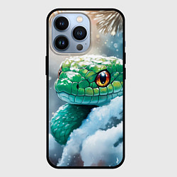 Чехол для iPhone 13 Pro Зеленая змейка на заснеженной ветке, цвет: 3D-черный