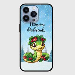 Чехол для iPhone 13 Pro Змейка - светлого рождества, цвет: 3D-черный