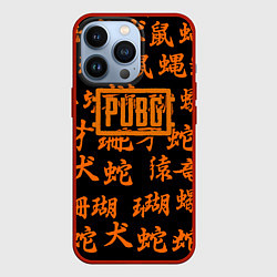 Чехол для iPhone 13 Pro PUBG japan steel, цвет: 3D-красный