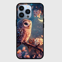 Чехол для iPhone 13 Pro Сова и месяц, цвет: 3D-черный