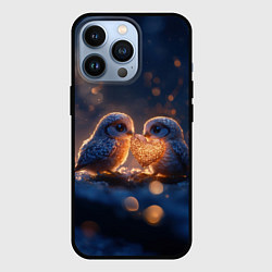 Чехол для iPhone 13 Pro Милые влюбленные совушки, цвет: 3D-черный