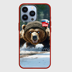 Чехол iPhone 13 Pro Медведь страж границ